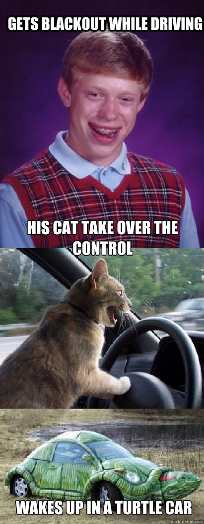 gets blackout while driving  his Cat take over the control wakes up in a turtle car - gets blackout while driving  his Cat take over the control wakes up in a turtle car  Misc