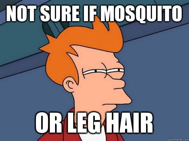 not sure if mosquito or leg hair  - not sure if mosquito or leg hair   Futurama Fry