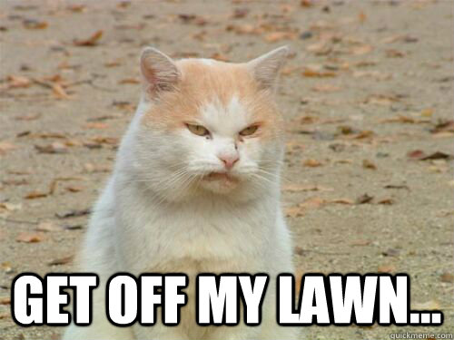  get off my lawn... -  get off my lawn...  Disgusted Cat