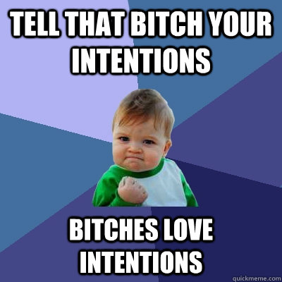 TELL THAT BITCH YOUR INTENTIONS BITCHES LOVE INTENTIONS  Success Kid