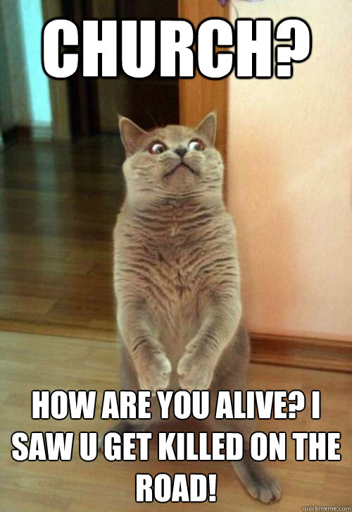 Church? How are you alive? I saw u get killed on the road! - Church? How are you alive? I saw u get killed on the road!  Horrorcat