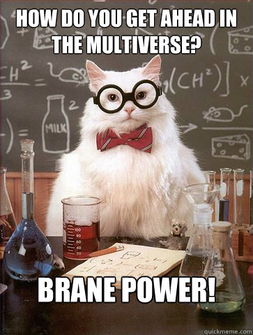 How do you get ahead in the multiverse?

 Brane power!  Science Cat