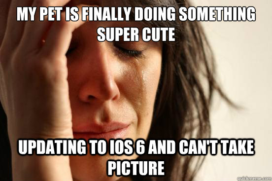 My pet is finally doing something super cute Updating to iOS 6 and can't take picture  First World Problems