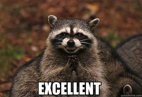    evil racoon