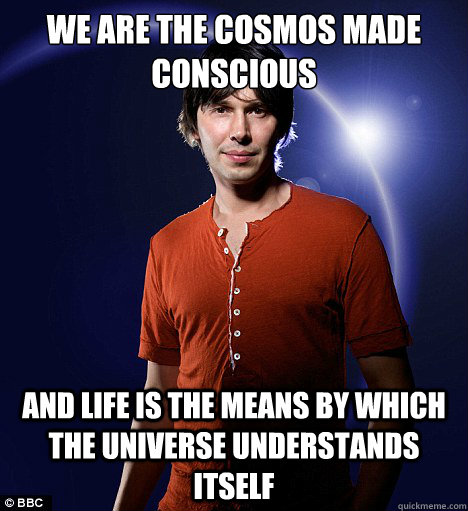 We are the cosmos made conscious  and life is the means by which the universe understands itself  Brian Cox