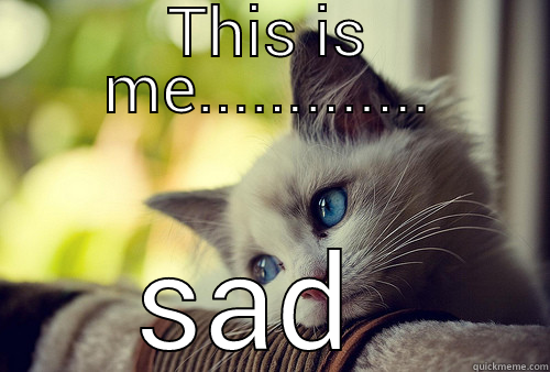 THIS IS ME............. SAD  First World Problems Cat