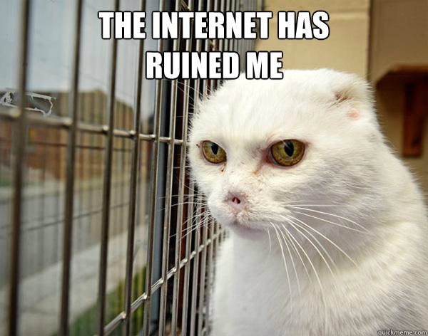 The internet has 
ruined me   Jail Cat