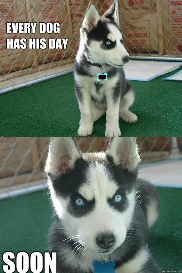Every dog 
has his day soon  Insanity puppy
