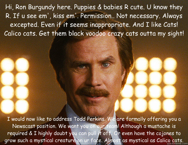 Hi, Ron Burgundy here. Puppies & babies R cute. U know they R. If u see em', kiss em'. Permission.. Not necessary. Always excepted. Even if it seems inappropriate. And I like Cats! Calico cats. Get them black voodoo crazy cats outta my sight! I would now  - Hi, Ron Burgundy here. Puppies & babies R cute. U know they R. If u see em', kiss em'. Permission.. Not necessary. Always excepted. Even if it seems inappropriate. And I like Cats! Calico cats. Get them black voodoo crazy cats outta my sight! I would now   todd