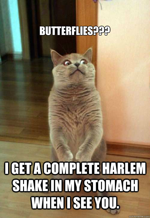 Butterflies??? I get a complete Harlem Shake in my stomach when I see you.  Horrorcat