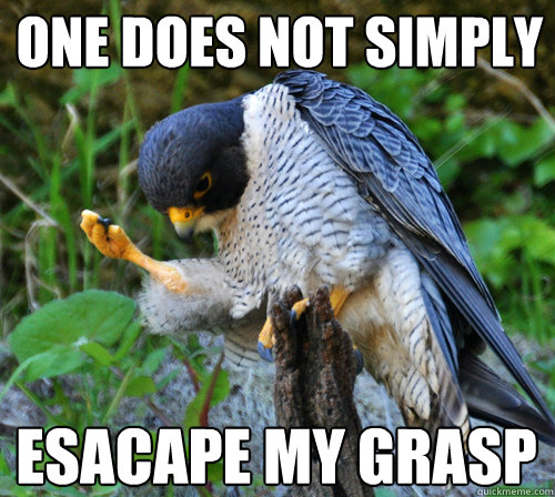 one does not simply esacape my grasp  Success Falcon