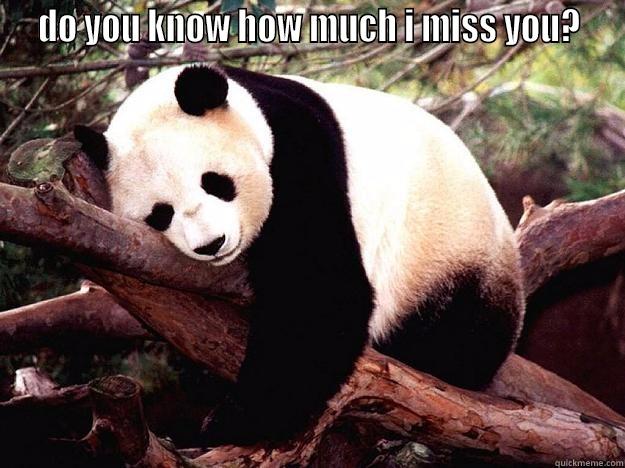  DO YOU KNOW HOW MUCH I MISS YOU?   DO YOU KNOW HOW MUCH I MISS YOU?  Procrastination Panda