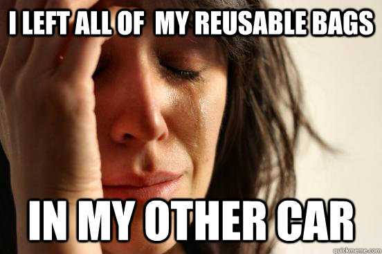 I left all of  my reusable bags in my other car  First World Problems