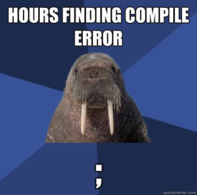 hours finding Compile error ;  Web Developer Walrus