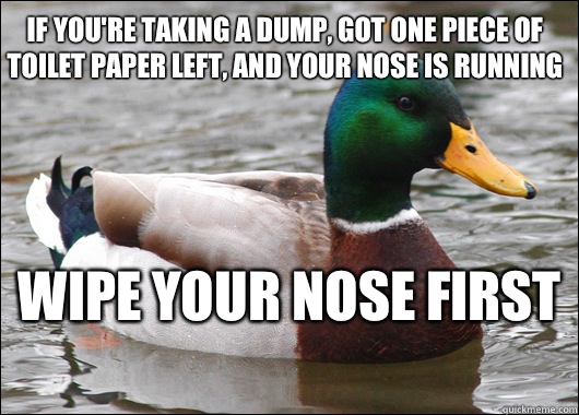 If you're taking a dump, got one piece of toilet paper left, and your nose is running  Wipe your nose first   Actual Advice Mallard