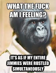What the fuck am I feeling? It's as if my entire jimmies were rustled simultaneously - What the fuck am I feeling? It's as if my entire jimmies were rustled simultaneously  Admiral Jimmies