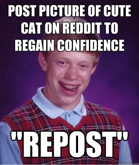 Post picture of cute cat on reddit to regain confidence 