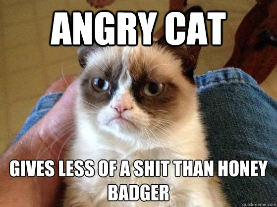 ANGRY CAT Gives less of a shit than Honey Badger - ANGRY CAT Gives less of a shit than Honey Badger  AngryCat