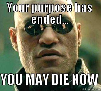 Your purpose has ended... - YOUR PURPOSE HAS ENDED...  YOU MAY DIE NOW Matrix Morpheus