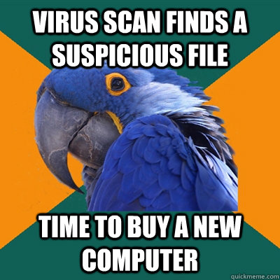 Virus scan finds a suspicious file Time to buy a new computer  Paranoid Parrot