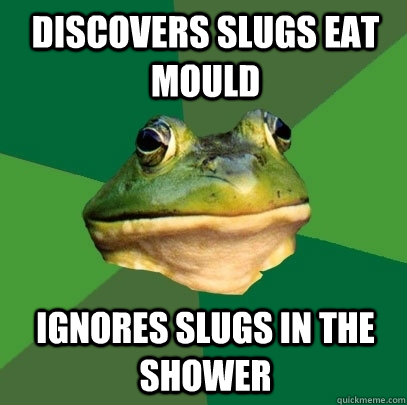 discovers slugs eat mould ignores slugs in the shower  Foul Bachelor Frog