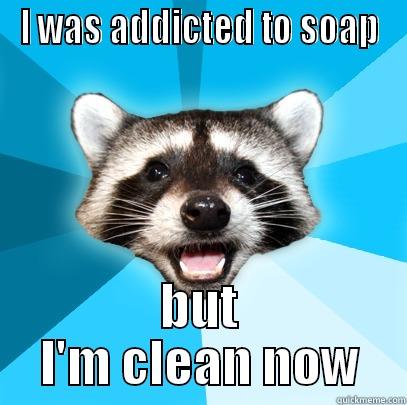 I WAS ADDICTED TO SOAP BUT I'M CLEAN NOW Lame Pun Coon
