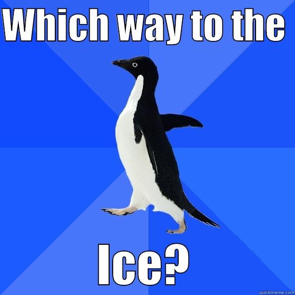 WHICH WAY TO THE  ICE? Socially Awkward Penguin