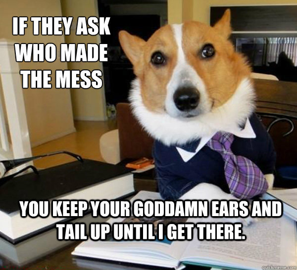 If they ask who made the mess You keep your goddamn ears and tail up until I get there.  Lawyer Dog