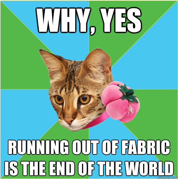 why, yes running out of fabric is the end of the world  Fashion major cat