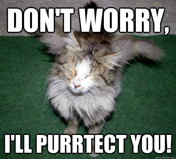 Don't Worry, I'll purrtect you!  Guardian Angel Cat
