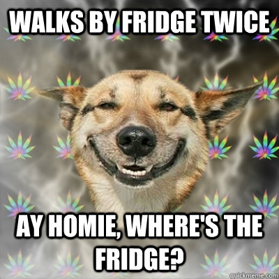Walks by fridge twice Ay homie, where's the fridge?  Stoner Dog
