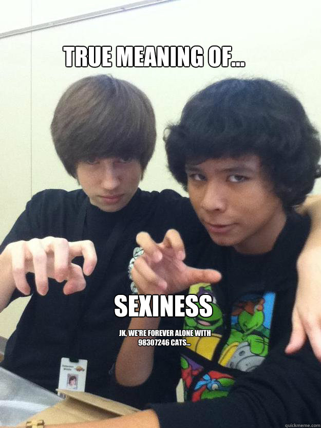 True meaning of... Sexiness.  Jk, We're Forever Alone With 98307246 Cats...  