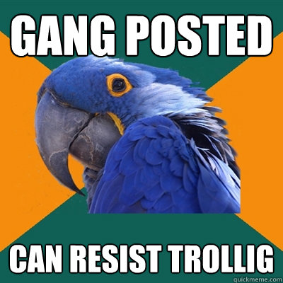 gang posted can resist trollig  Paranoid Parrot