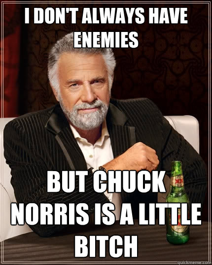 i don't always have enemies but Chuck Norris is a little bitch  The Most Interesting Man In The World