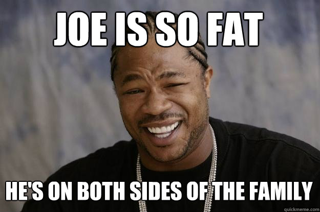 JOE IS SO FAT He's on both sides of the family  Xzibit meme