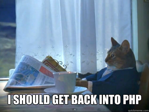  I should get back into PHP  The One Percent Cat