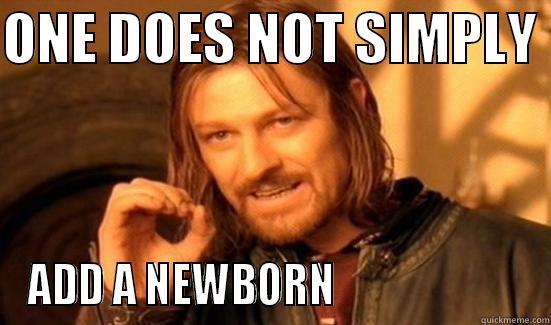 ONE DOES NOT SIMPLY  ADD A NEWBORN                       Boromir