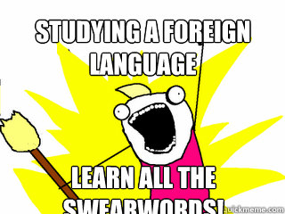 Studying a foreign language Learn all the swearwords!  All The Things
