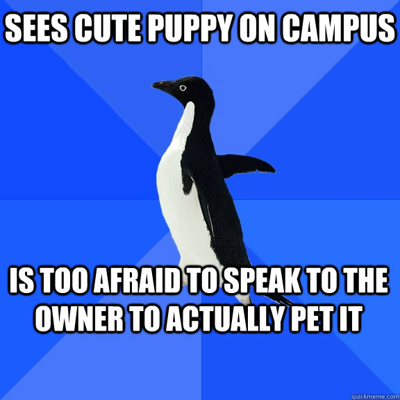 Sees cute puppy on campus is too afraid to speak to the owner to actually pet it  Socially Awkward Penguin