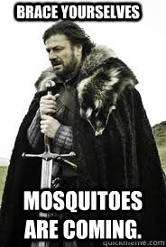 Brace Yourselves mosquitoes are coming. - Brace Yourselves mosquitoes are coming.  Brace Yourselves