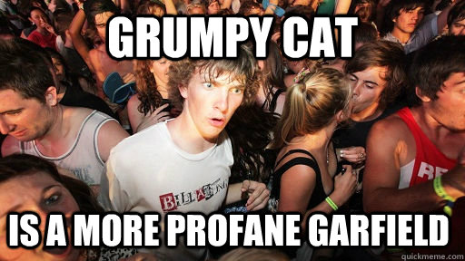 grumpy cat is a more profane Garfield  Sudden Clarity Clarence