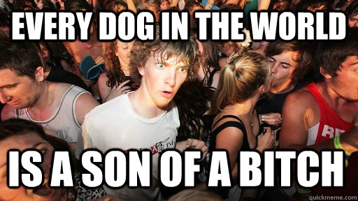 every dog in the world is a son of a bitch  Sudden Clarity Clarence