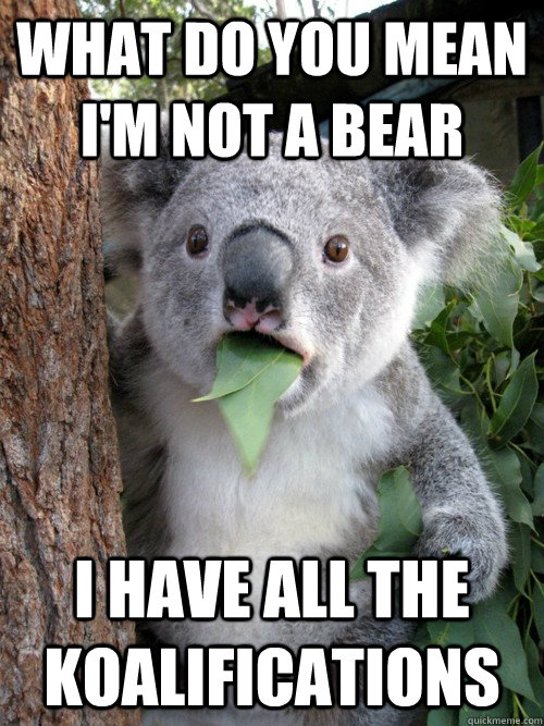 What do you mean i'm not a bear I have all the koalifications  koala bear