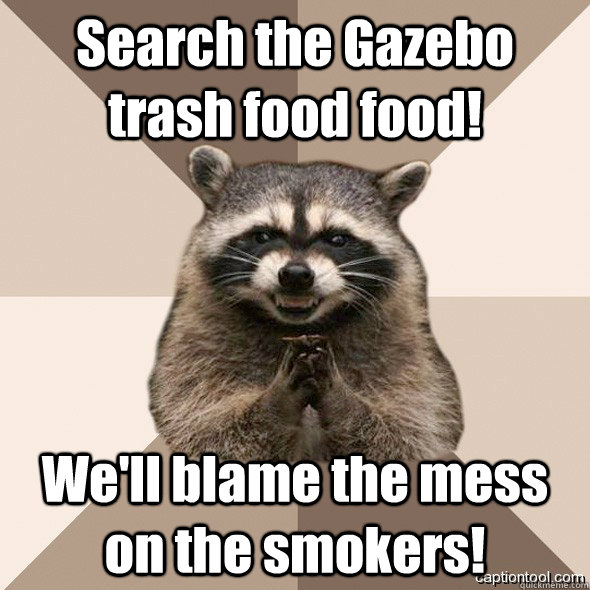 Search the Gazebo trash food food! We'll blame the mess on the smokers!  DLI scheming raccoons