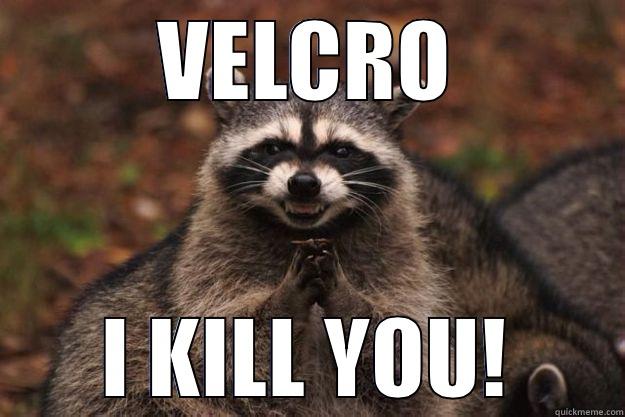 VELCRO I KILL YOU! Evil Plotting Raccoon