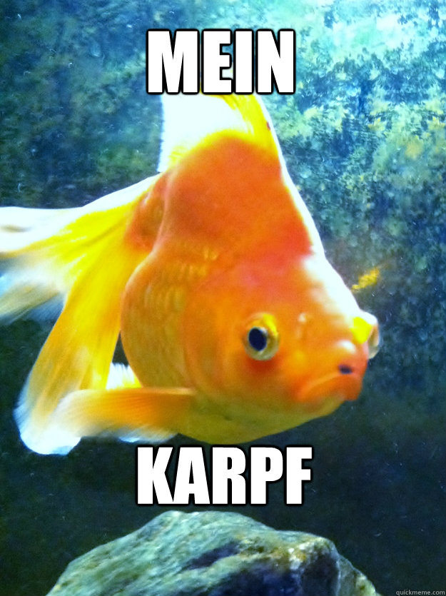 Mein Karpf - Mein Karpf  Hitler Goldfish
