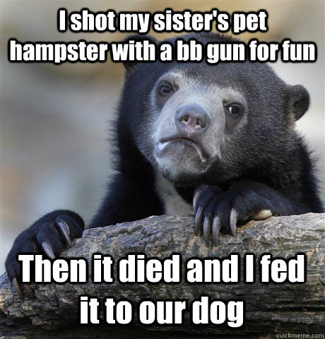 I shot my sister's pet hampster with a bb gun for fun Then it died and I fed it to our dog  Confession Bear