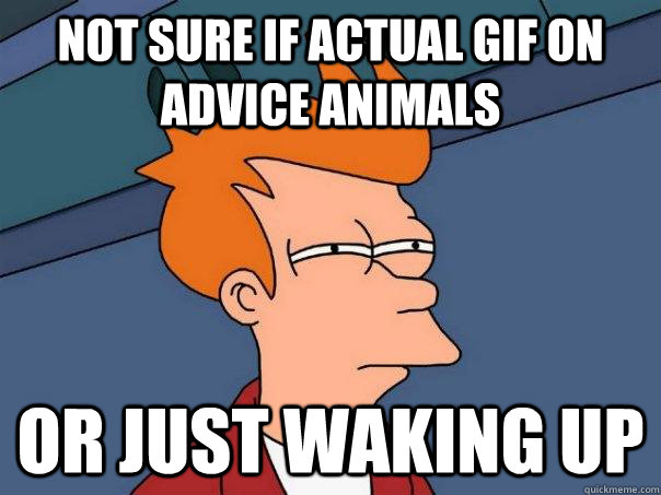Not sure if actual gif on advice animals Or just waking up  Futurama Fry