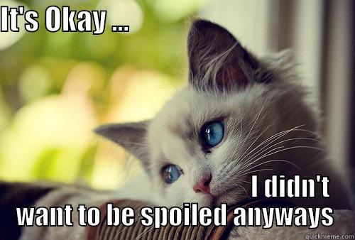 IT'S OKAY ...                                                                                        I DIDN'T WANT TO BE SPOILED ANYWAYS First World Problems Cat