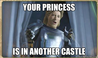 Your Princess Is in another castle - Your Princess Is in another castle  Shrek